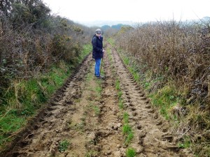 Happily away from the madding buzz of trucks and cars and with not a tractor in sight