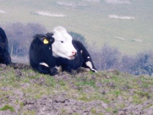 A good day to you, too