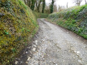 A lane through a manor of old. 