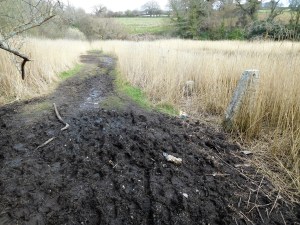 "Mud River" I called our walk to Flushing.