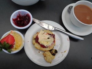 Scones, strawberry jam, clotted cream (unsweetened), hot tea and it was Mmm, Mmm today at 4pm.