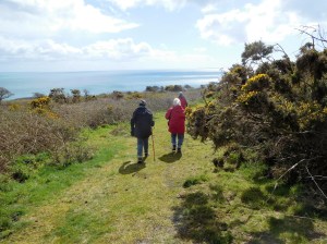 A quiet walk, fresh air, greening and blossoming.
