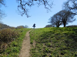 A glorious passage across the high field.