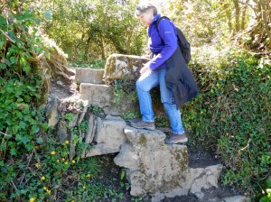 Found the granite step stile into the woodland.