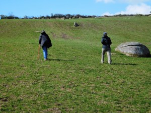 Marty and Jan cross one of the many fields, this a ssteep climb, on St Michael's Way. The cattle, thankfully, were moved to an adjacent field a week or two ago.