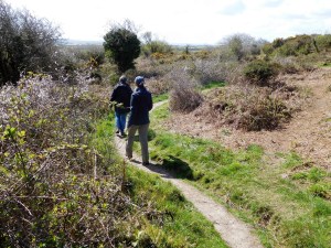 We walked around the base of Trencrom Hill, an Iron Age fort, with only the song of birds filling the air.