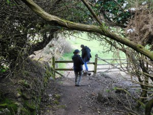 Another stile to cross.