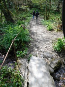 A granite stone bridge spans a stream. 