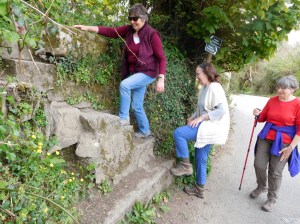 Up the granite step, through the woods, and back into the city.