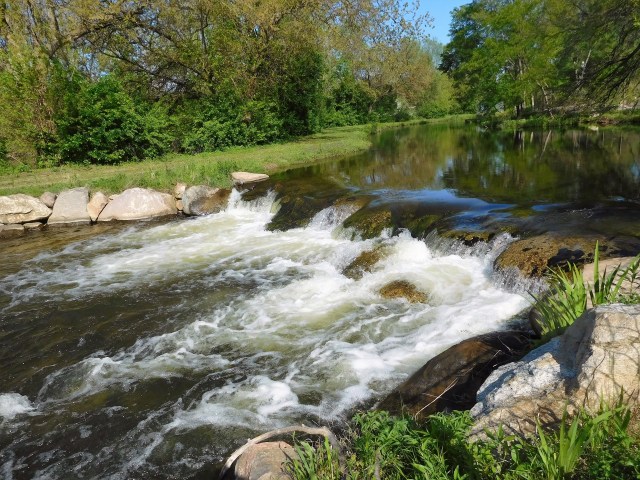 Christiana Creek, over the fence from the Wellfield.