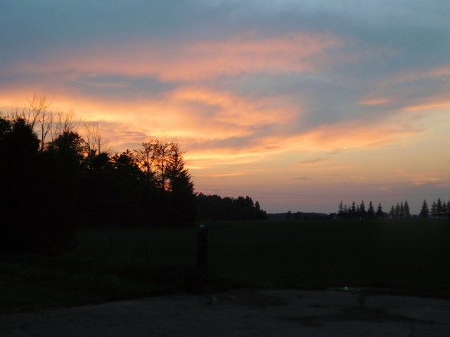 Sunset on the farm. 