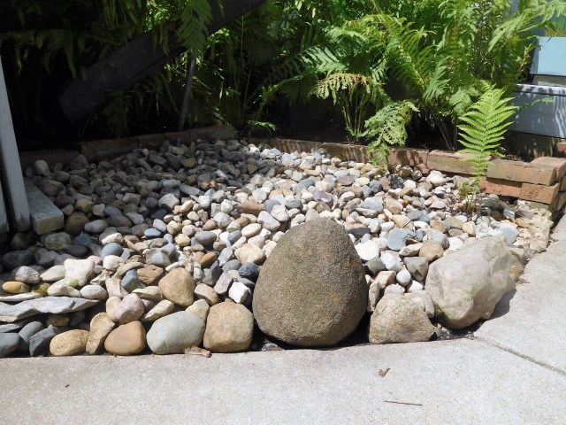 "We're more than meets the eye," these stones say. They tell stories of the house where Marty's dad was born, of the geology of Lake Huron, and of rubbing shoulders with fantastic fossils. What stories!
