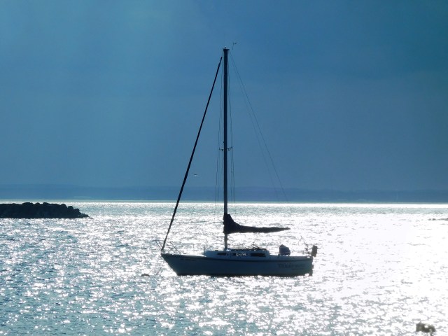 Sailing in the shimmer of the setting sun. 