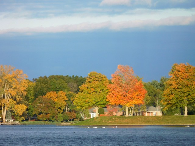 View upriver to the St. Joe Manor point, one of my favorite harbingers of the changing season.