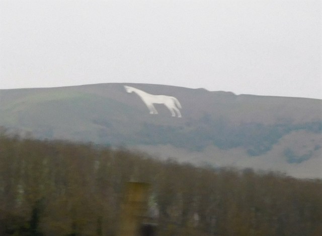 From the train I took a picture of The Chalk Horse at Westbury, one of many such ancient mysteries throughout England. 